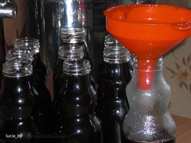 Sirop de Coacaze Rosii