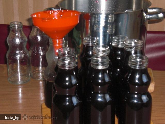 Sirop de Coacaze Rosii