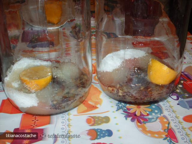 Racoritoare de Hibiscus/karkade