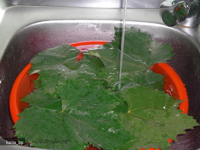 Frunze de vita-de-vie, conservate pentru iarna