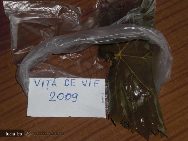 Frunze de vita-de-vie, conservate pentru iarna