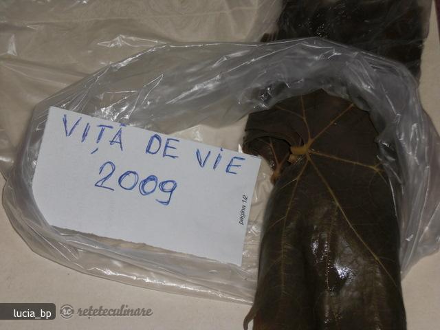Frunze de vita-de-vie, conservate pentru iarna