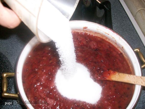 Marmelada de Prune si Zmeura