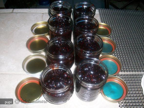 Marmelada de Prune si Zmeura