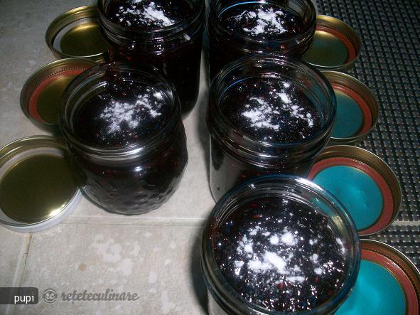 Marmelada de Prune si Zmeura