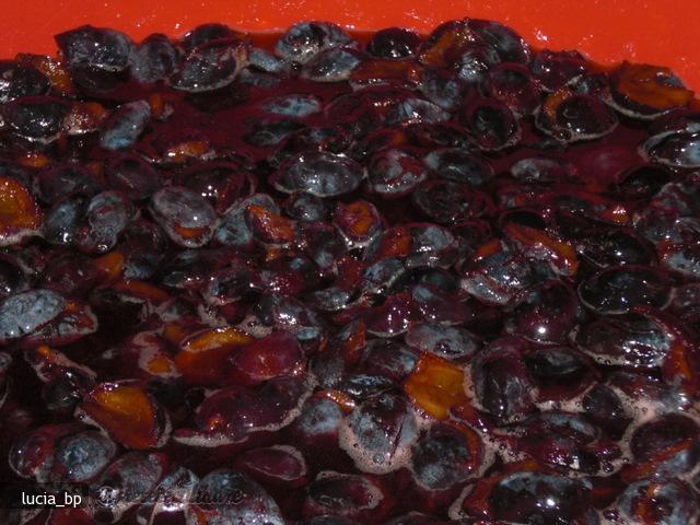 Gem de Prune Brumarii (bistrite)