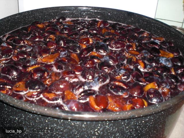Gem de Prune Brumarii (bistrite)