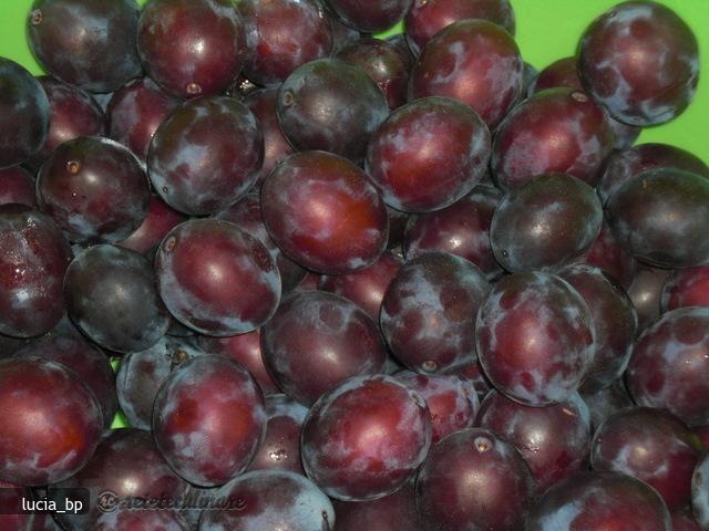 Gem-pasta de Prune Grase, Rosii