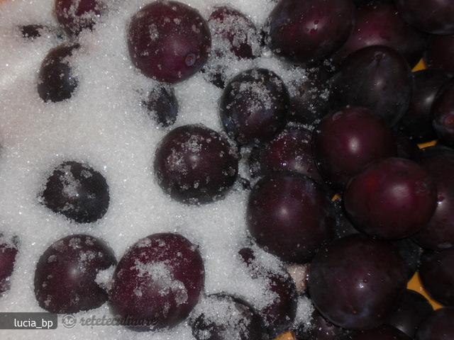 Gem-pasta de Prune Grase, Rosii