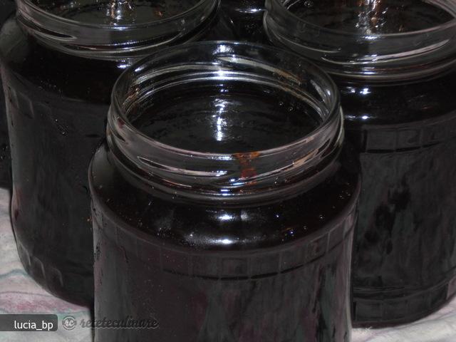 Gem-pasta de Prune Grase, Rosii
