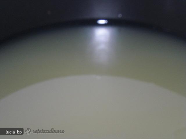 Sirop de Pepene Galben, Conservat Pentru Iarna
