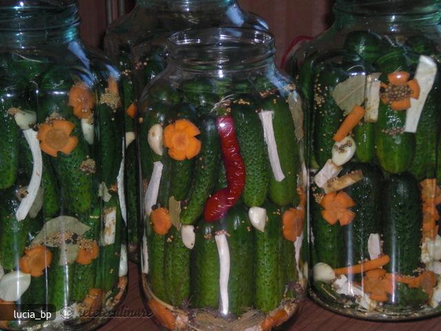 Castraveciori Murati, Crocanti