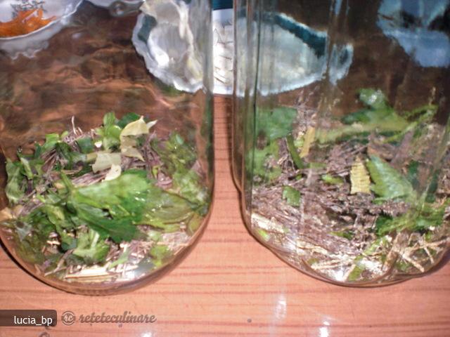 Muratura Asortata