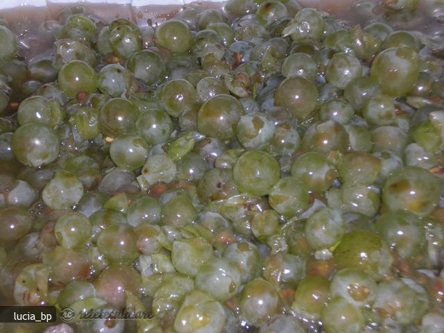 `Miere` de Struguri