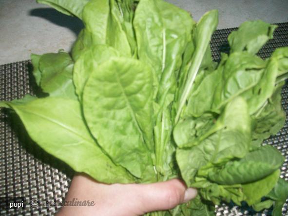 Patrunjel, Busuioc si Macris Pentru Iarna (la Congelator)