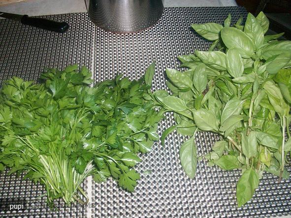 Patrunjel, Busuioc si Macris Pentru Iarna (la Congelator)