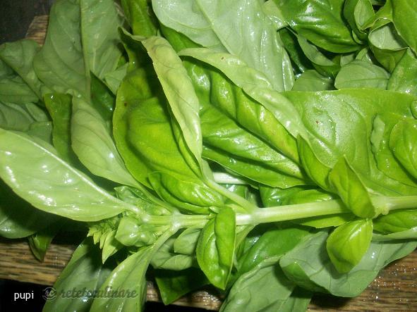 Patrunjel, Busuioc si Macris Pentru Iarna (la Congelator)