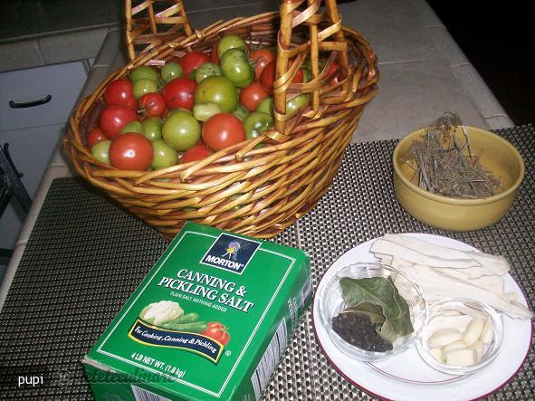 Gogonele in Saramura ( la Borcan)