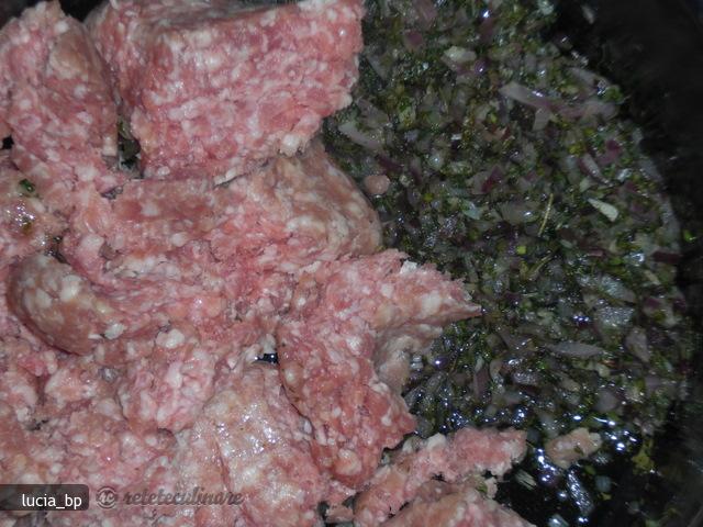 Placinta cu Carne si Foi de Brick