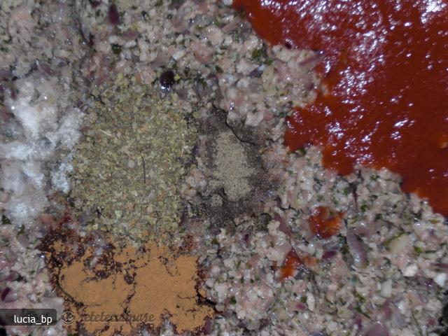 Placinta cu Carne si Foi de Brick