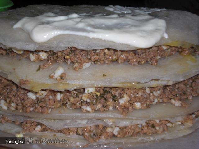 Placinta cu Carne si Foi de Brick