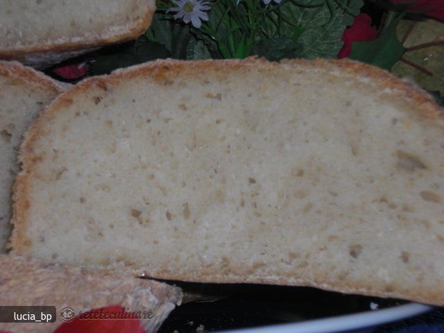 Paine Mestesugareasca