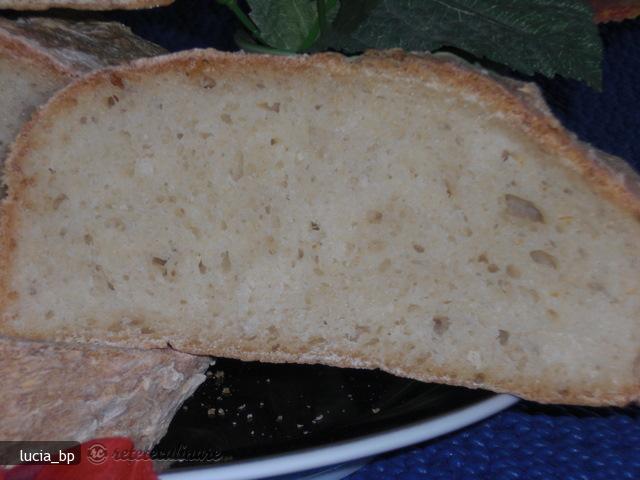 Paine Mestesugareasca