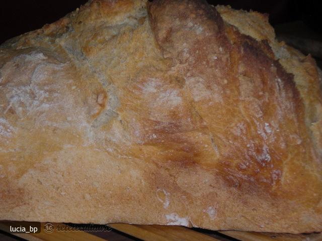 Paine Mestesugareasca