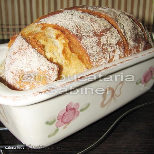 Paine Mestesugareasca