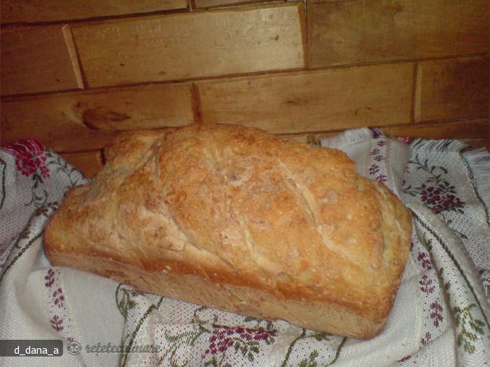 Paine Mestesugareasca