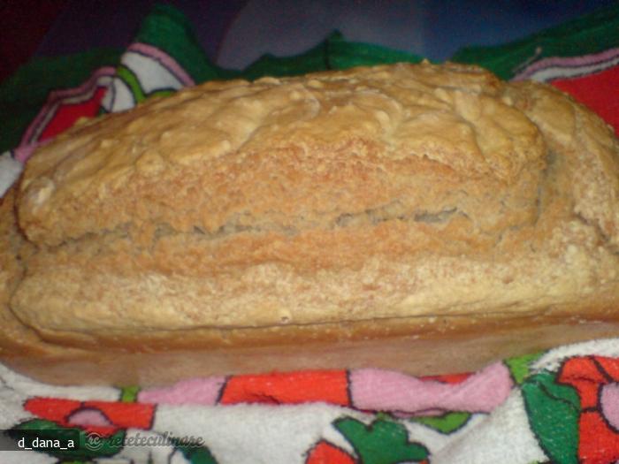 Paine Mestesugareasca