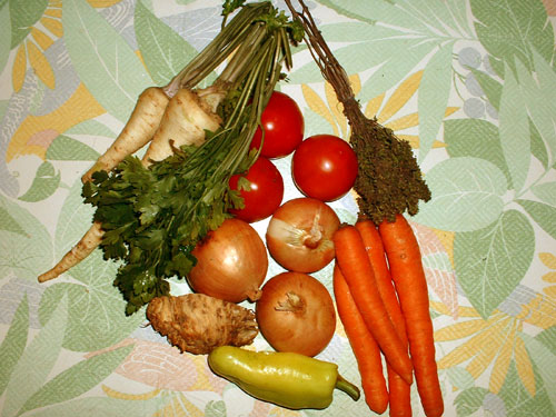 Bors de vita