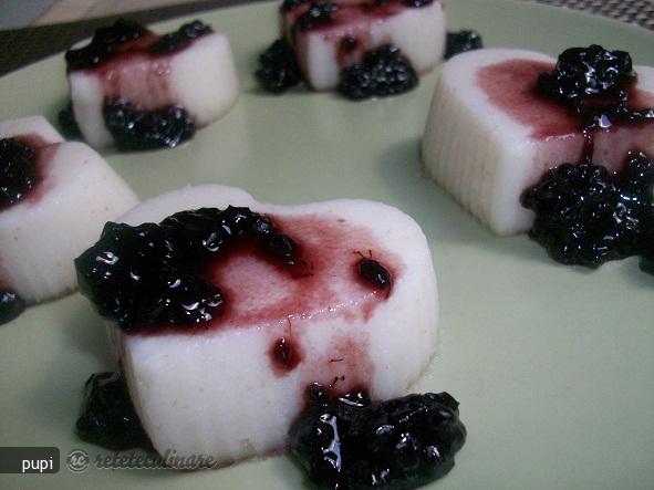 Lapte Din Nuca de Cocos (Coconut Milk)
