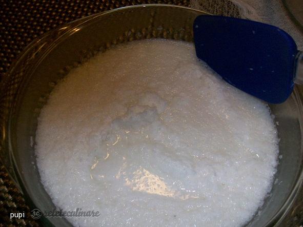 Lapte Din Nuca de Cocos (Coconut Milk)