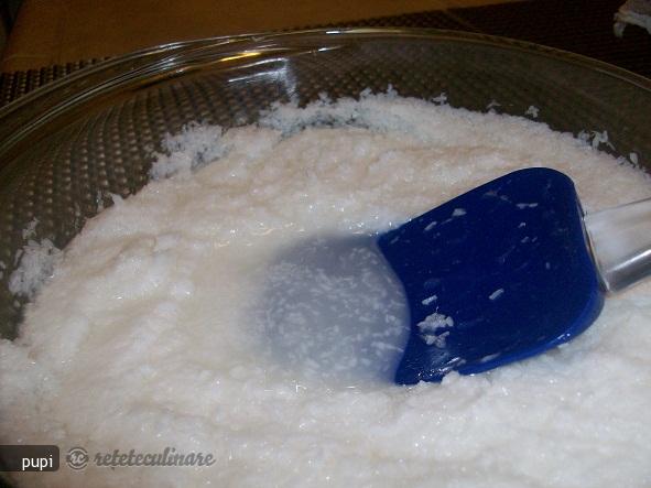 Lapte Din Nuca de Cocos (Coconut Milk)