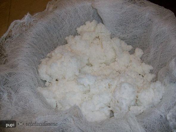 Lapte Din Nuca de Cocos (Coconut Milk)