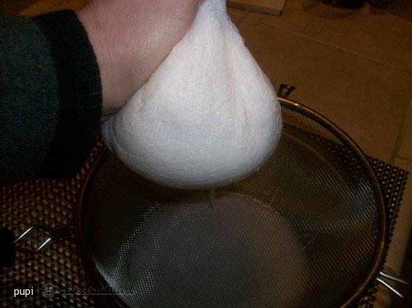 Lapte Din Nuca de Cocos (Coconut Milk)