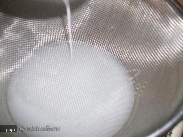 Lapte Din Nuca de Cocos (Coconut Milk)