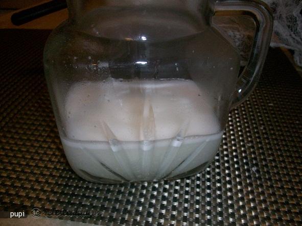 Lapte Din Nuca de Cocos (Coconut Milk)