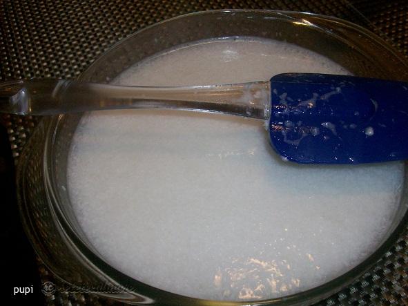 Lapte Din Nuca de Cocos (Coconut Milk)