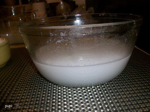 Lapte Din Nuca de Cocos (Coconut Milk)