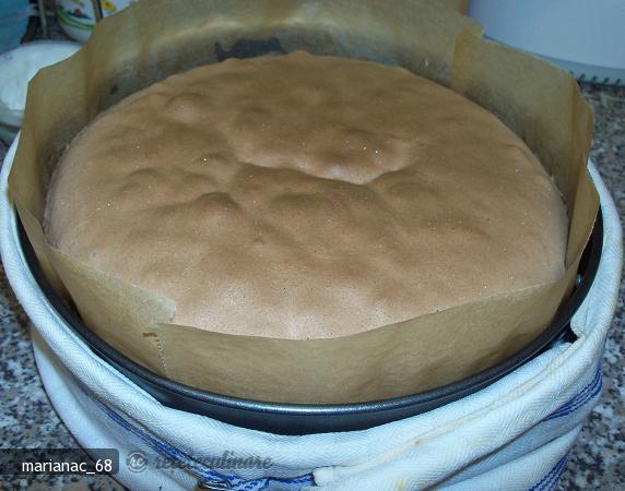 Blat de Tort de Ciocolata. Pregatirea Unui Blat de Tort - Pas cu Pas