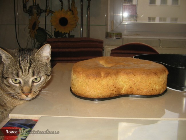 Blat de Tort de Ciocolata. Pregatirea Unui Blat de Tort - Pas cu Pas