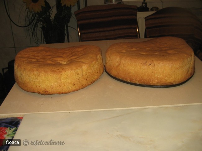 Blat de Tort de Ciocolata. Pregatirea Unui Blat de Tort - Pas cu Pas