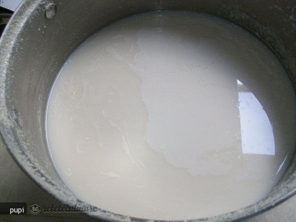 Prepararea Laptelui de Soia in Casa
