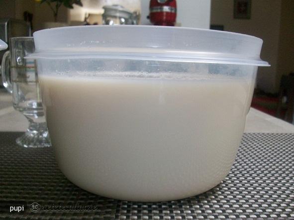 Prepararea Laptelui de Soia in Casa