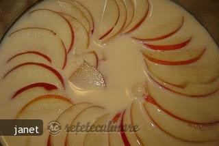 Crema de Zahar Ars cu Mere