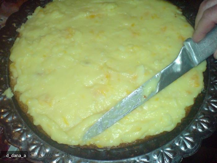 Tort Racoritor de Budinca
