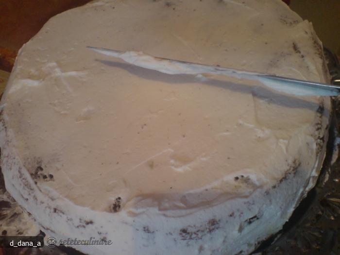 Tort Racoritor de Budinca
