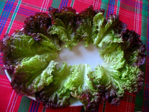 Salata de Vara